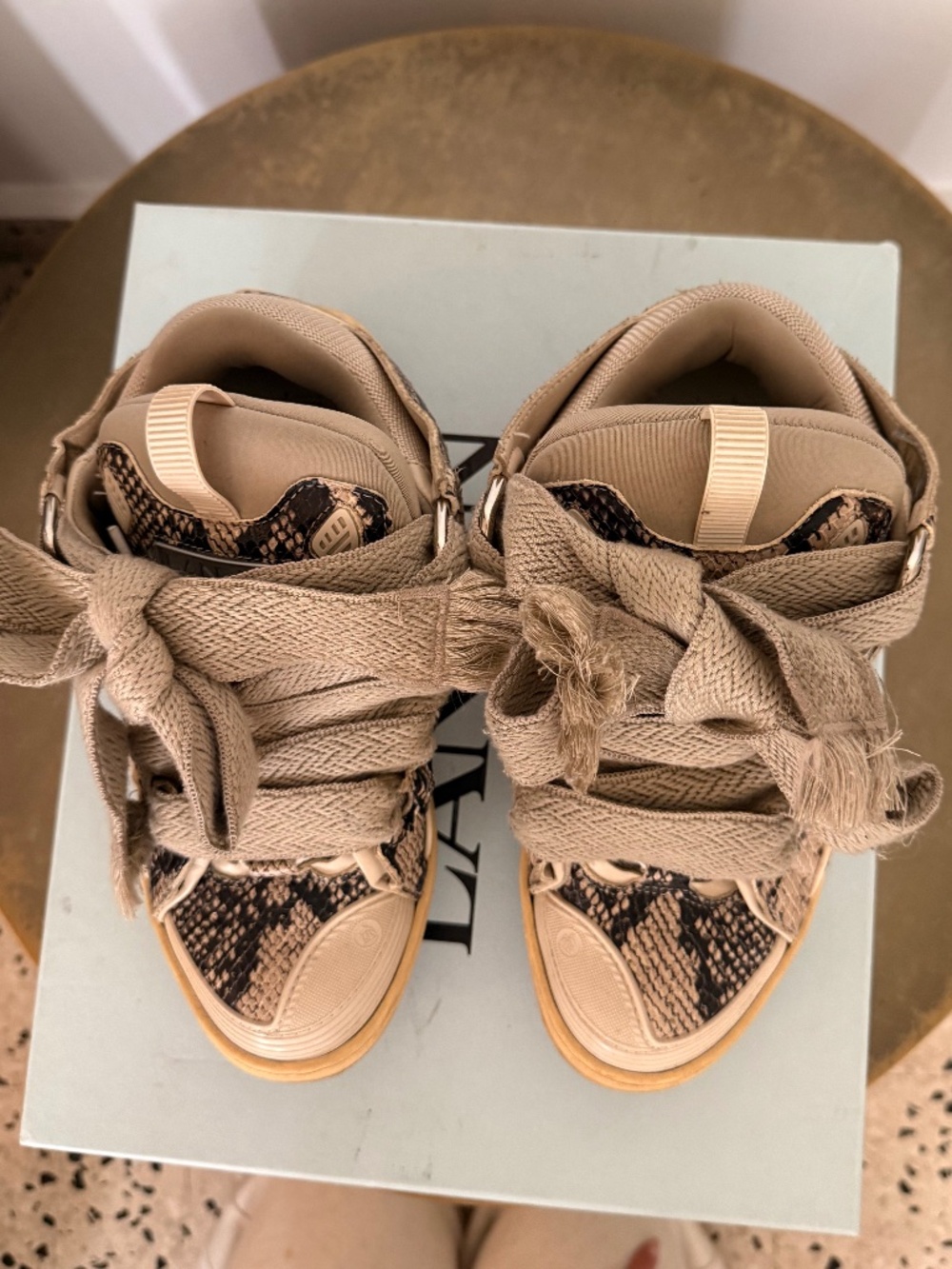 Lanvin Curb Beige Python Sneakers EU 39 Oversized Laces w/ Original Box